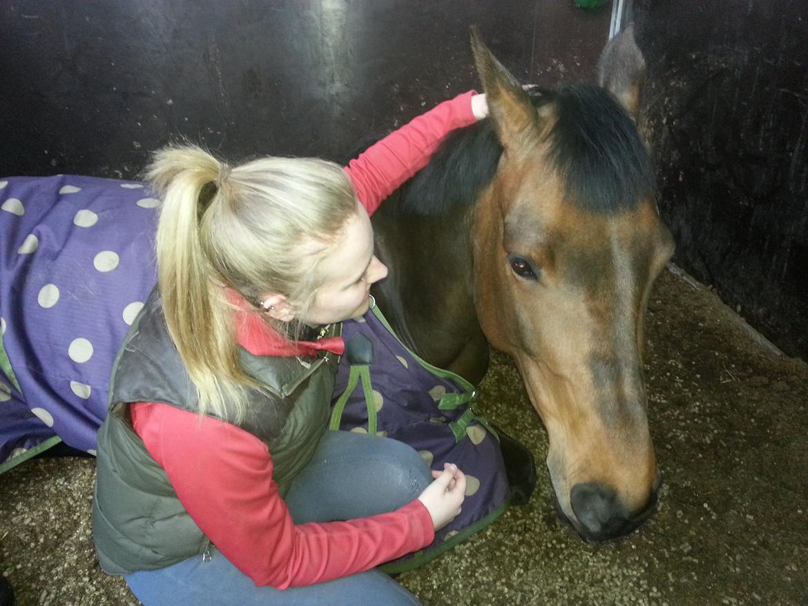 Holstener Cassiopeia - min lille engel ;))) 2013 billede 5