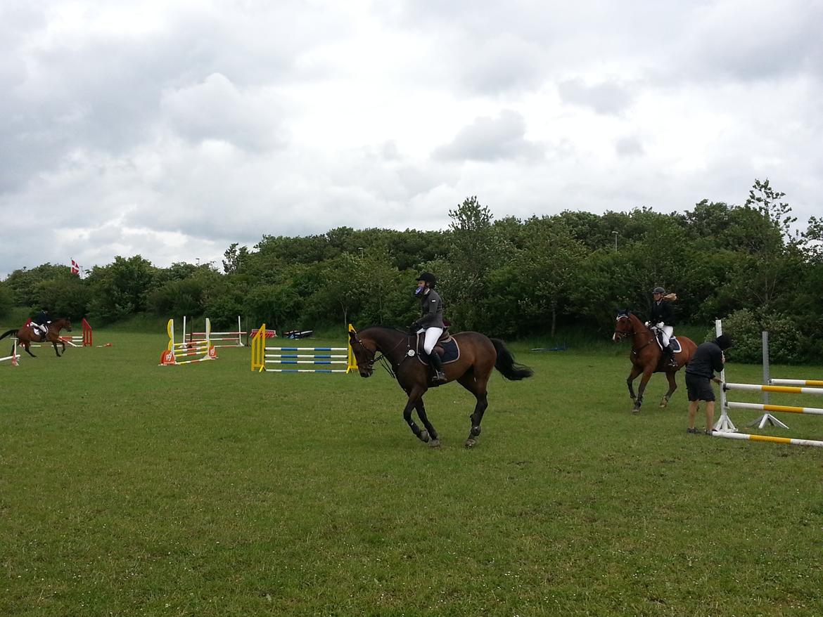 Holstener Cassiopeia - Efter vores første stævne sammen :)) 2. plads billede 2