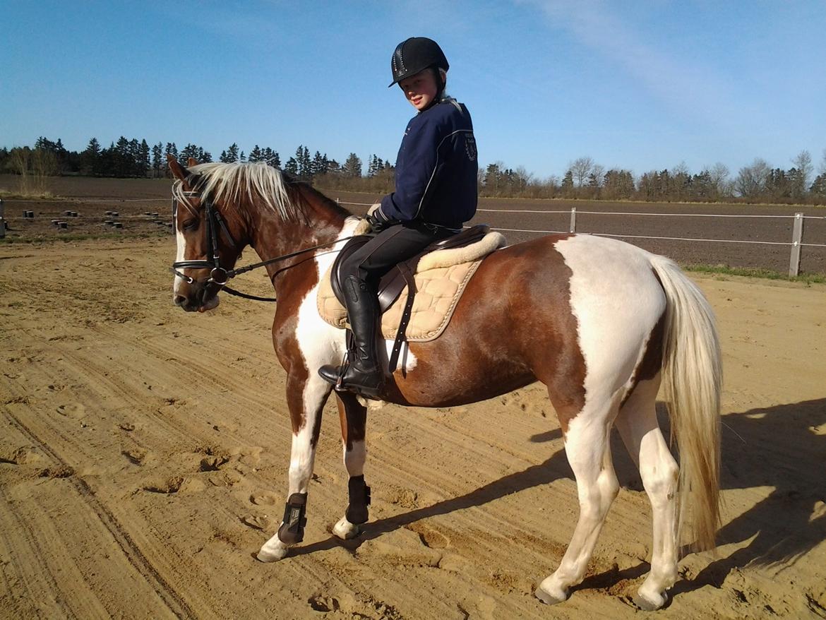 DSP Kastaniehøj Joannah - ser hun ikke sød ud??
 billede 1