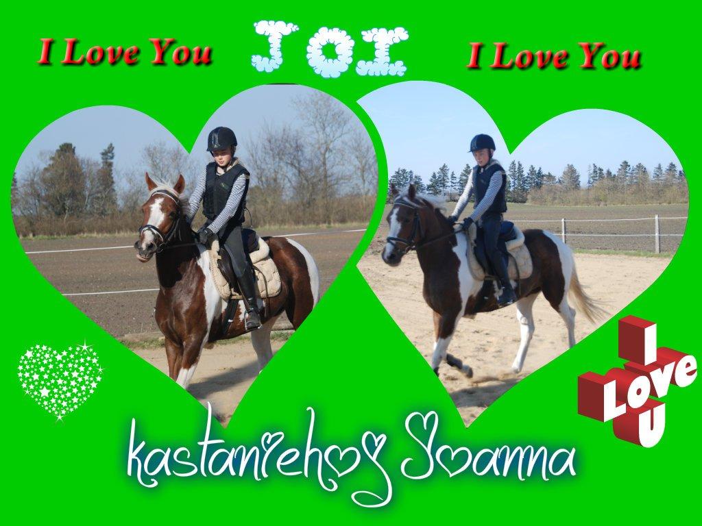 DSP Kastaniehøj Joannah - hun er sød og så er jeg også begyndt at springe på hende og det er hun ved at være god til
 billede 6