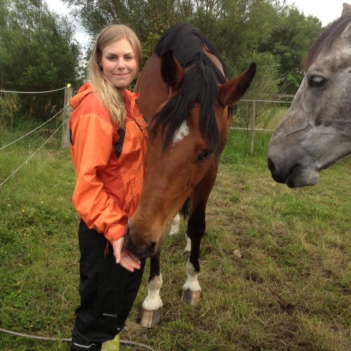 Dansk Varmblod Just Ask - Mig og smukke Just <3 billede 12