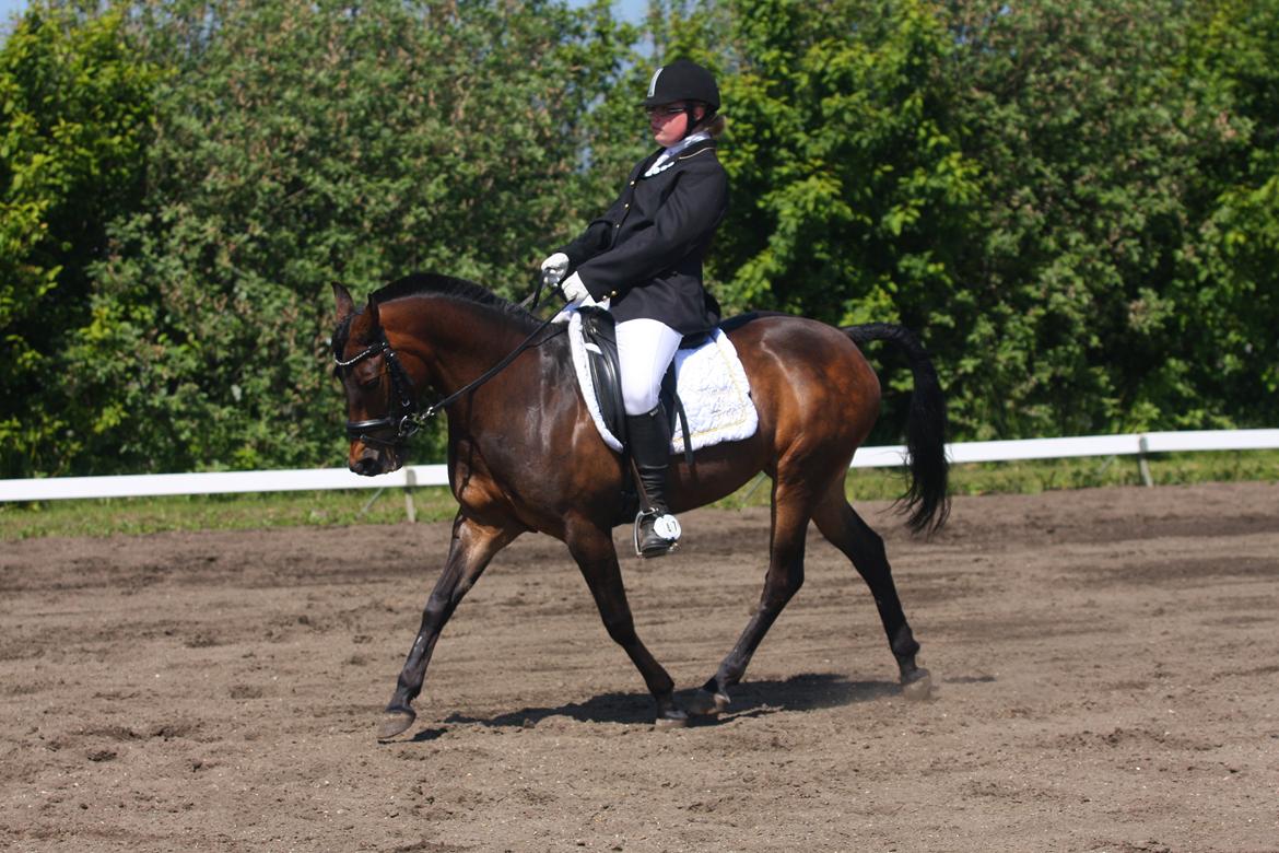 Anden særlig race Freja Ømarksgård solgt billede 5