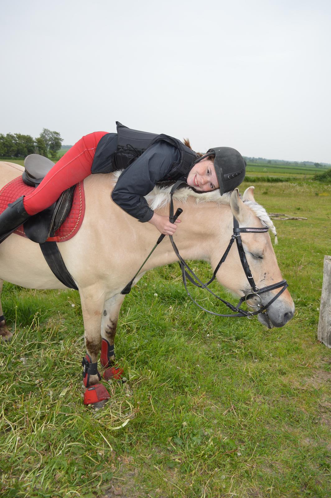 Fjordhest Julie Sejr R.I.P - Min prinsesse! <3- 2013
Klamt billede af mig men elsker pony mere end noget andet. billede 8