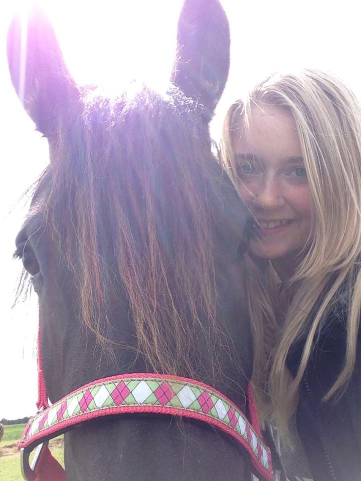 Frieser MELISSA billede 7