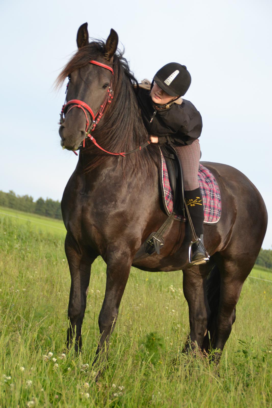 Frieser MELISSA billede 10