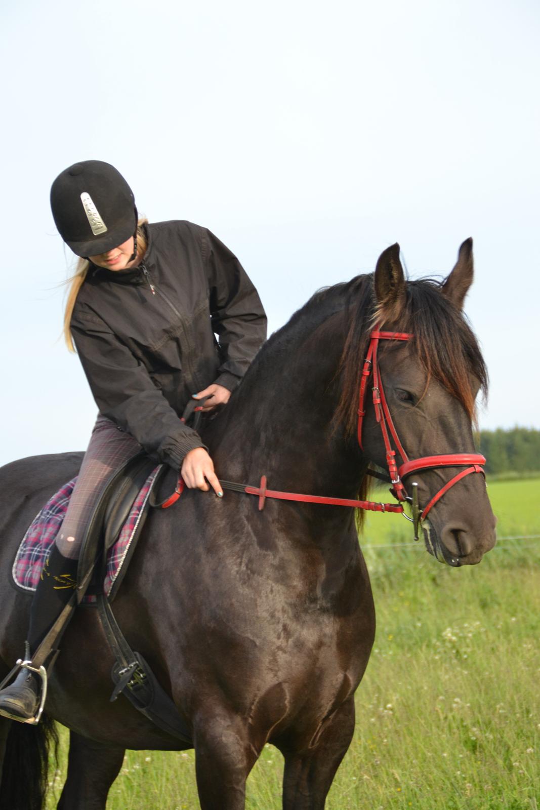 Frieser MELISSA billede 2