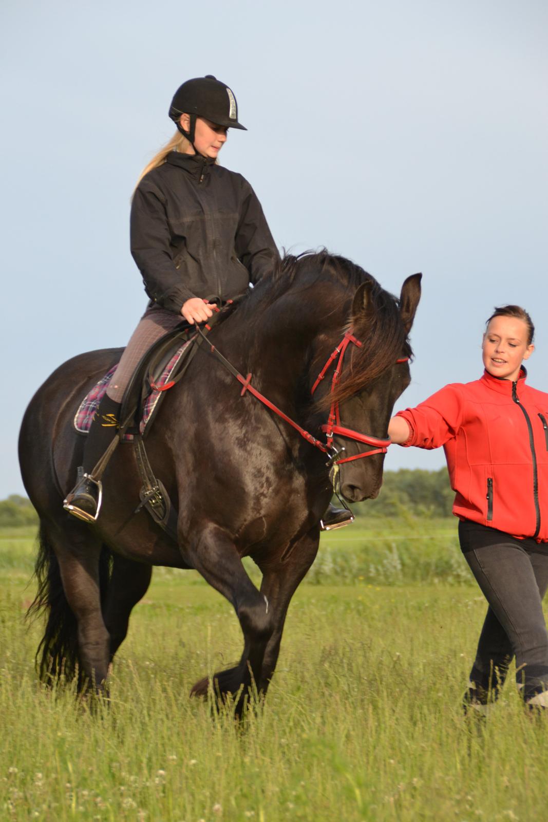 Frieser MELISSA - lækker hals ;) billede 11