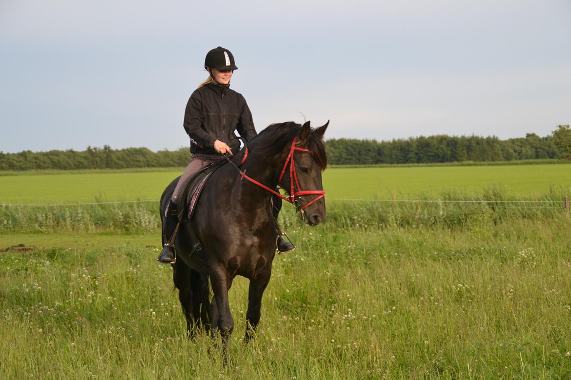 Frieser MELISSA billede 12