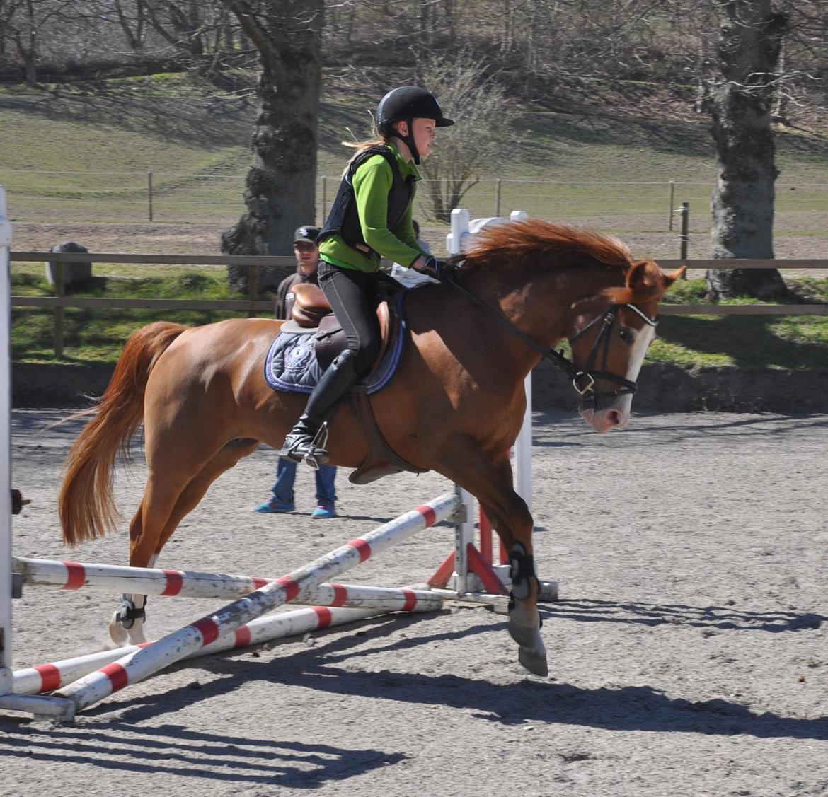 DSP Brandzöed Zoya Bredager - Zoya og jeg 3 gang vi springer billede 2