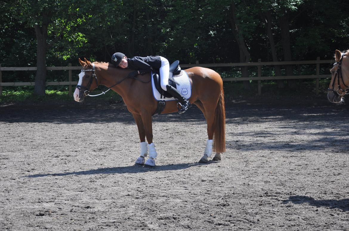 DSP Brandzöed Zoya Bredager - Vi gider hvis begge to ikke mere billede 12