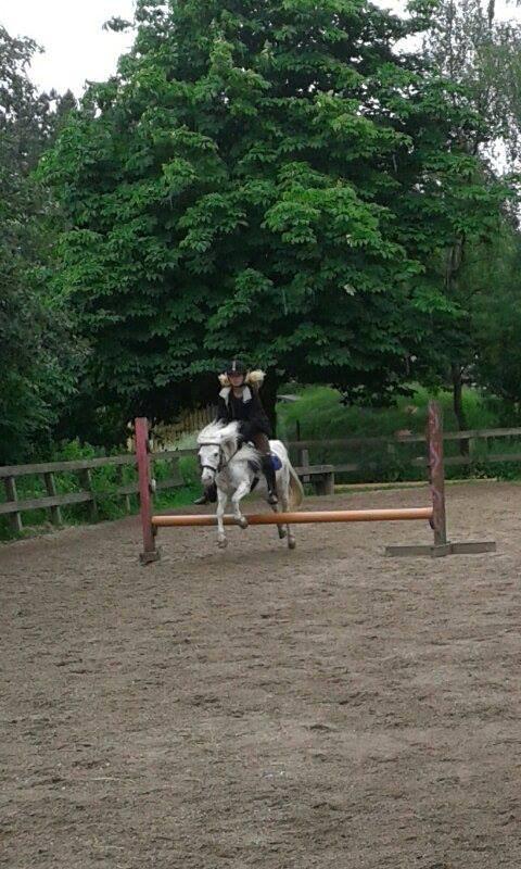 Knabstrupper Susi af Kaldred *Prinsessen* - The best place for me is in your arms <3 billede 16