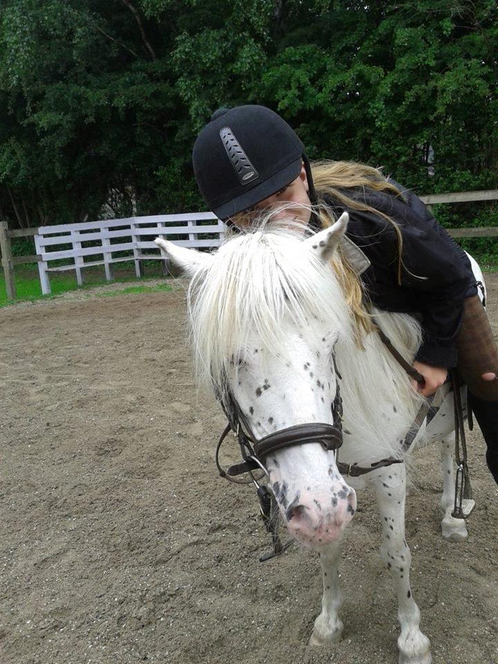 Knabstrupper Susi af Kaldred *Prinsessen* - Du er alt! Du er det eneste som betyder noget for mig <3 :-* billede 9