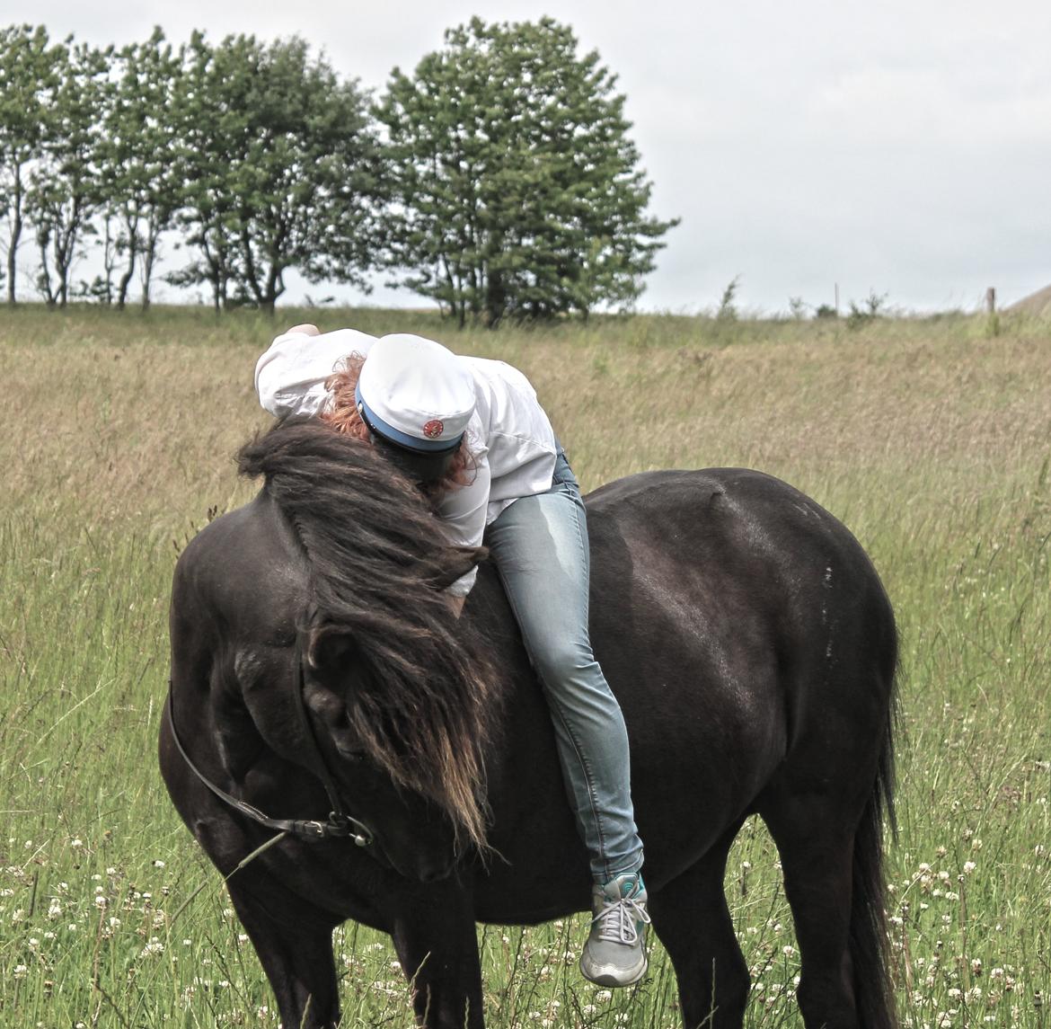 Islænder Bliða hedelund - Min skønne skønne lille hest <3 billede 18