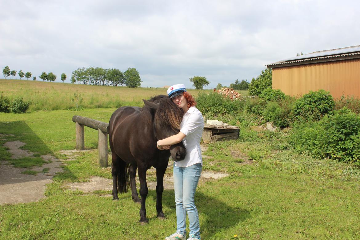 Islænder Bliða hedelund - Tak for kigget ! <3 billede 19