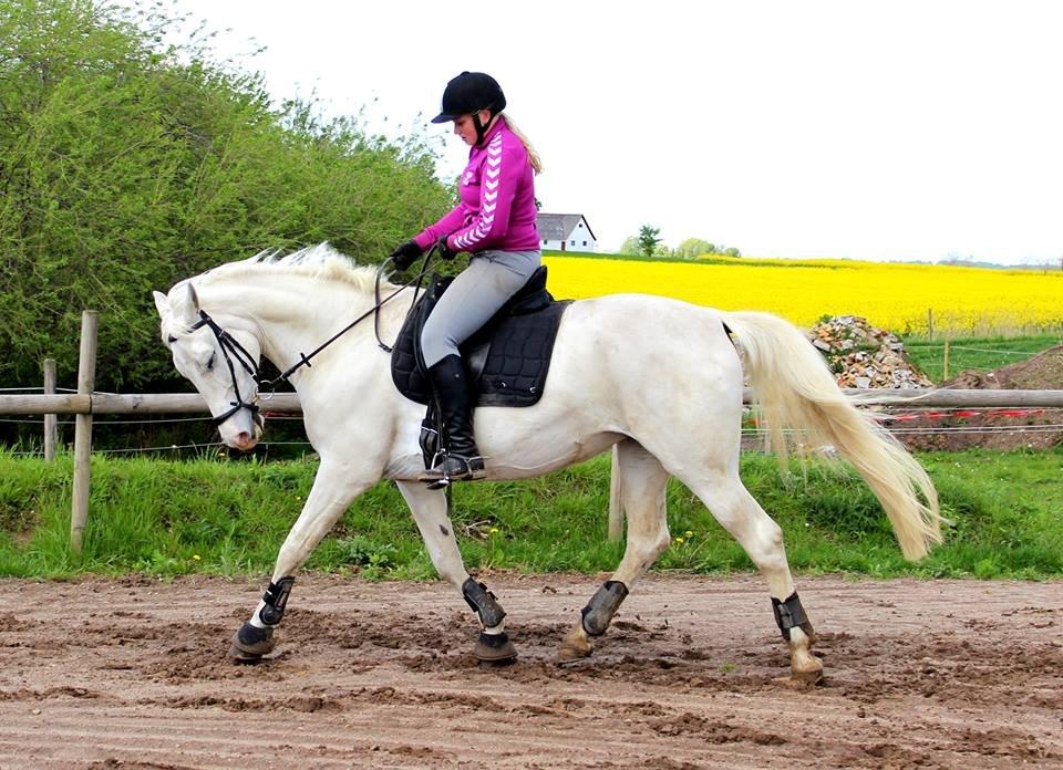 Anden særlig race Sunshine - Vi bliver bedre og bedre :*  billede 7