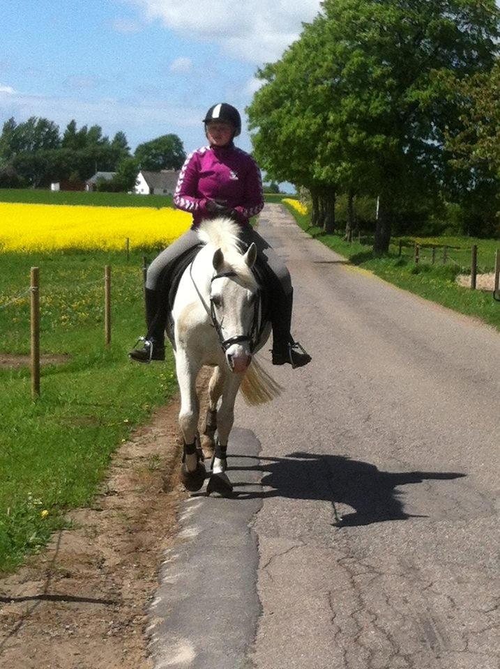 Anden særlig race Sunshine - Vi er det perfekte par! <3 billede 10