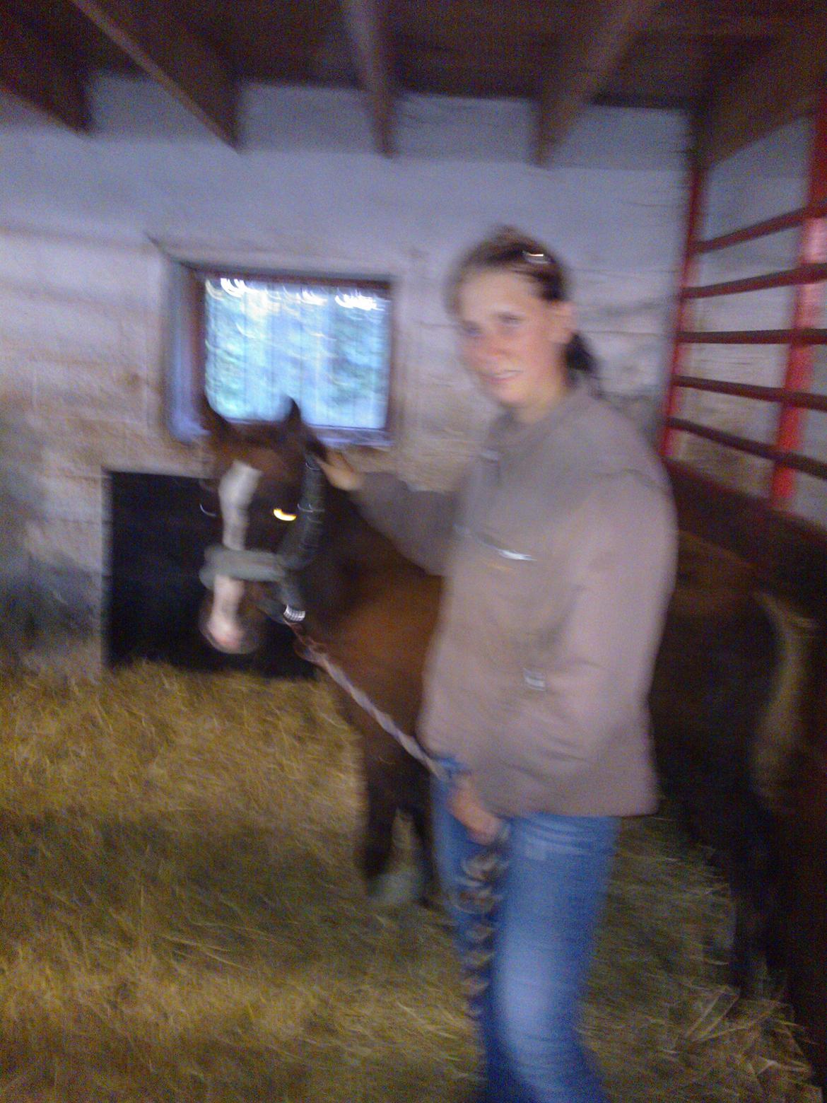 Anden særlig race de Rosche´s Turbo Speed billede 13