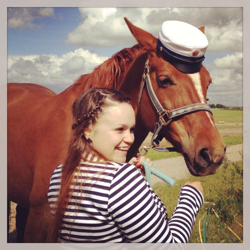 Dansk Varmblod Limone - Juni 2013 billede 18