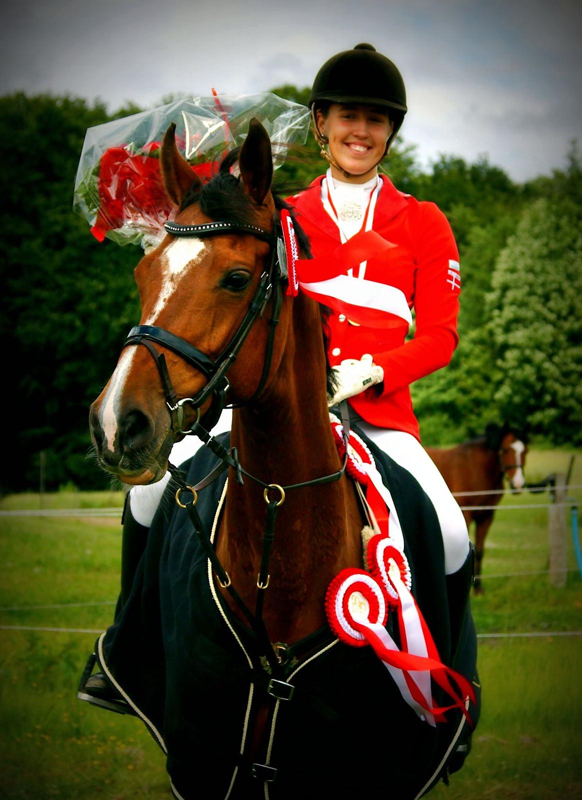 Dansk Varmblod Gamlish Chaday-Deligth - Vinder af D1's kombinerede distriksmesterskab 2013 (LA spring og dressur) :-) billede 3