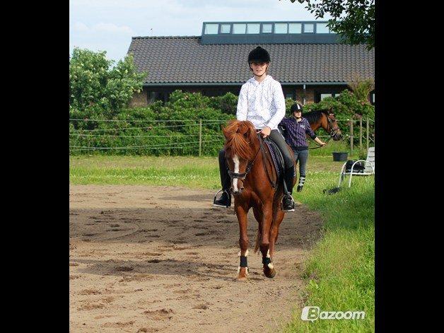 Tysk Sportspony Kuli´s Andromeda - mig og andromeda tager lige en hyggelig tur på spring banen billede 2