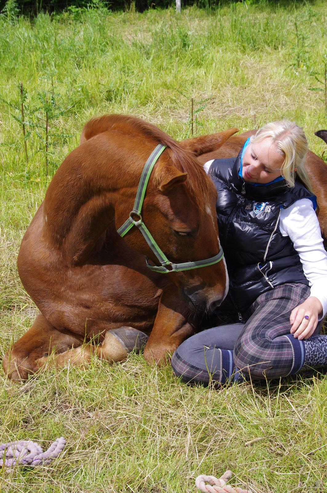 Anden særlig race Kosmo billede 12