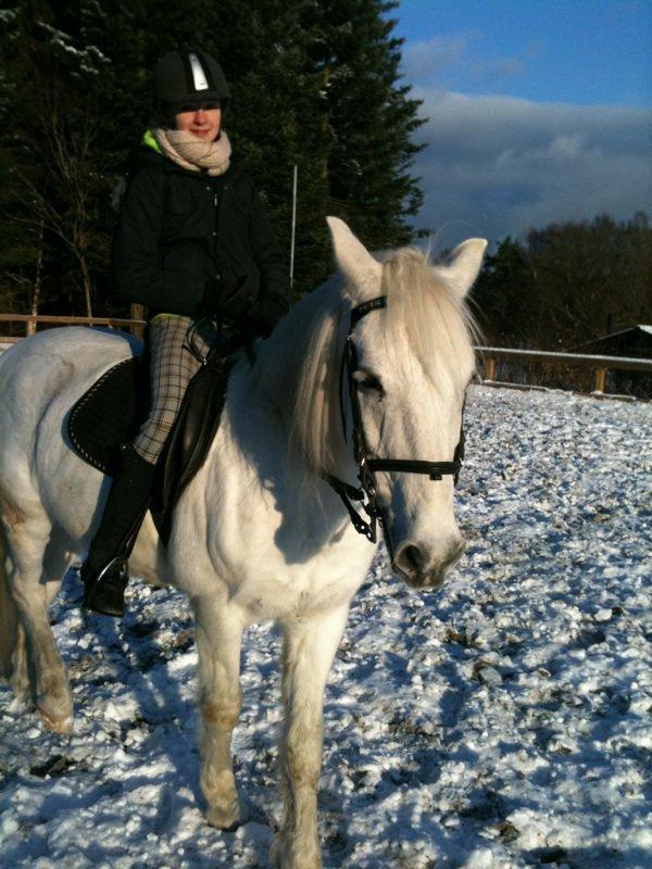 Connemara Flash Point billede 8