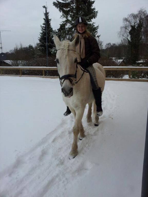 Connemara Flash Point billede 9