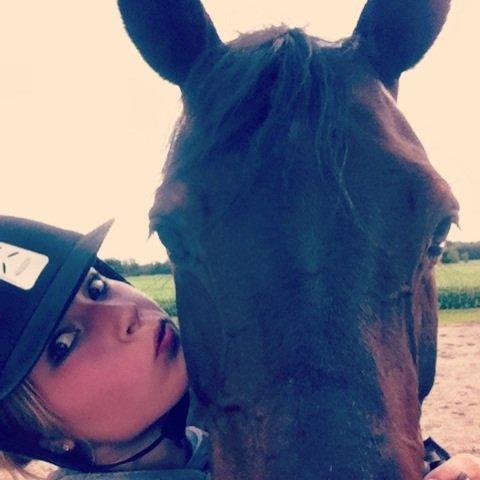 Dansk Varmblod Khandis billede 14