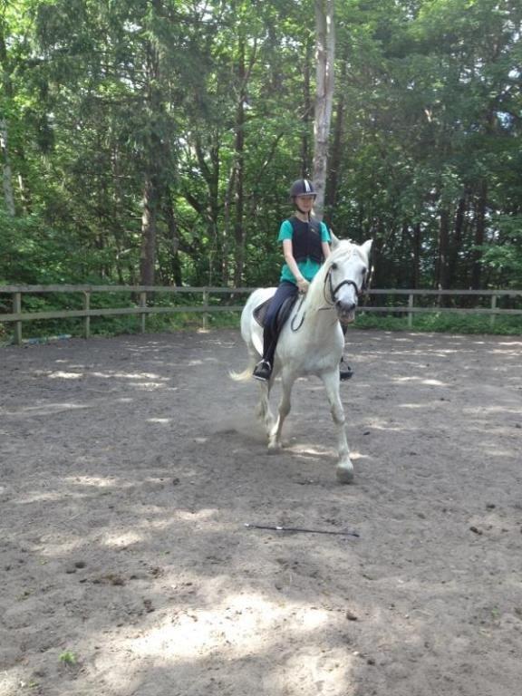 Connemara Flash Point billede 12