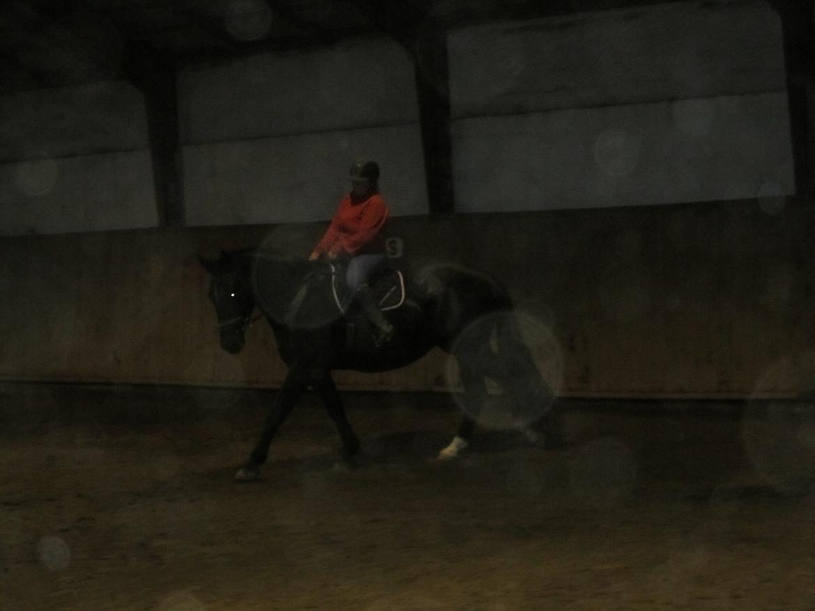 Oldenborg Grønbæks Dior billede 2