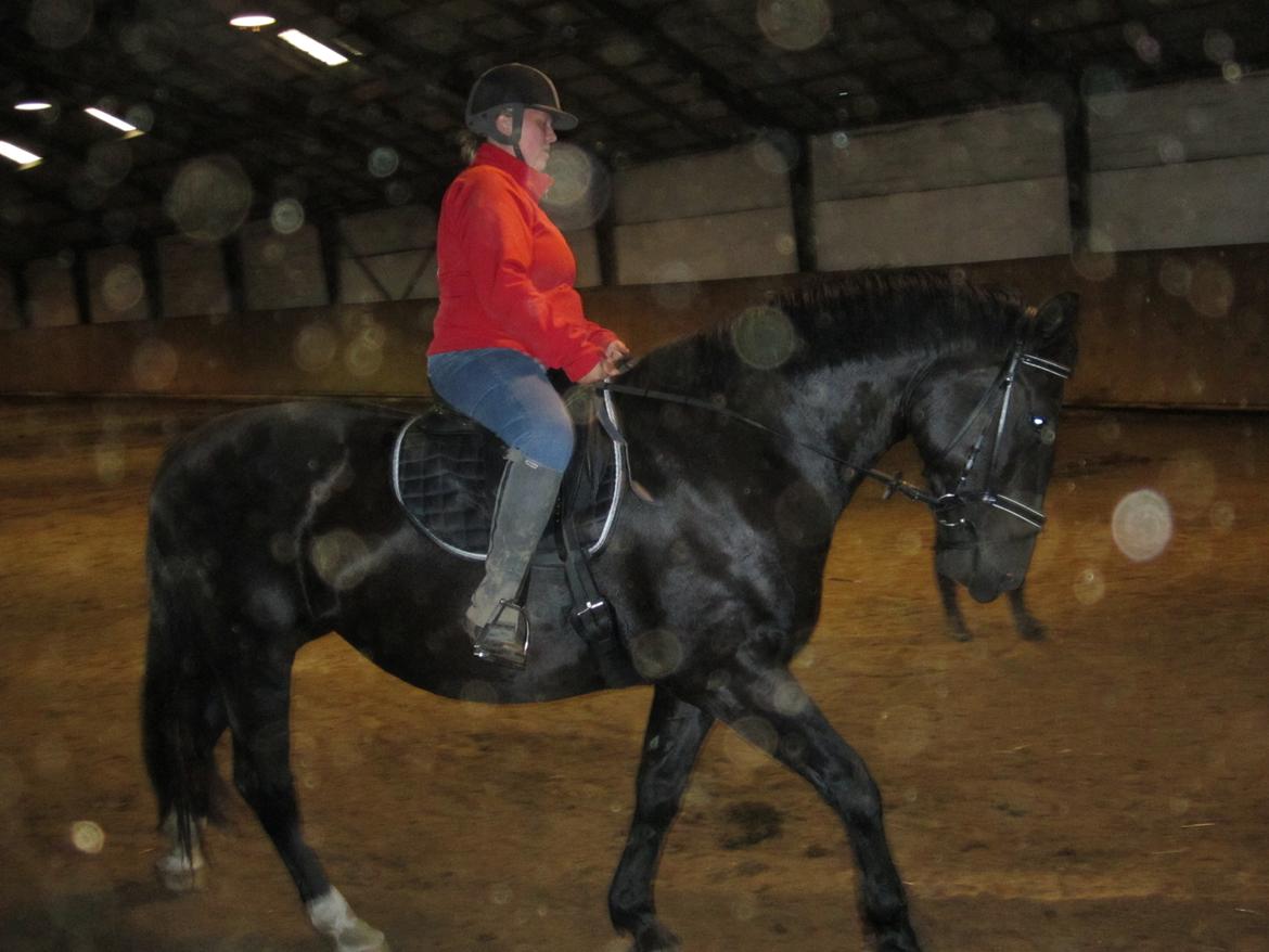 Oldenborg Grønbæks Dior billede 3