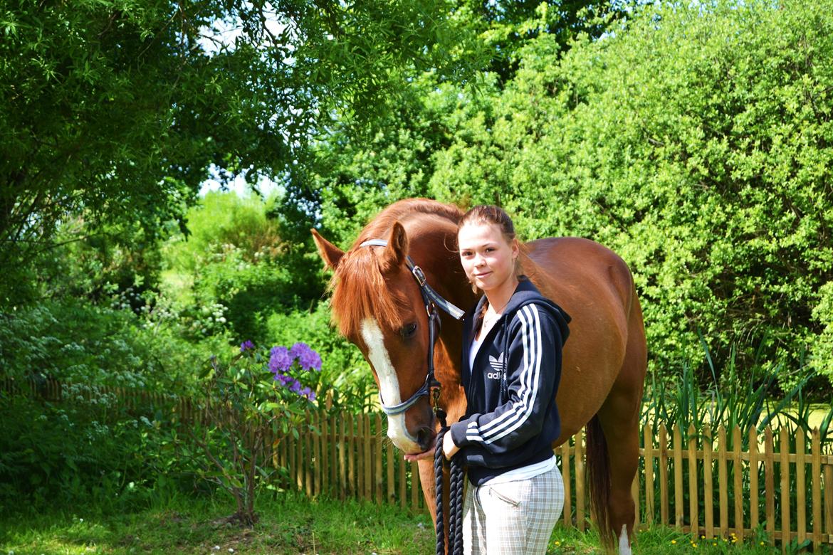 Anden særlig race Havens Astian billede 3