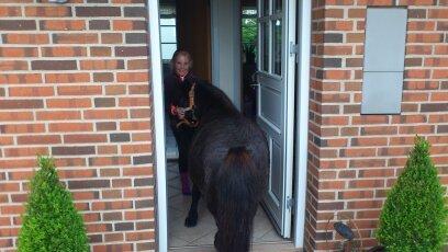 Shetlænder Madelien Af Hola(solgt) - Madelein din bisse. xD billede 14