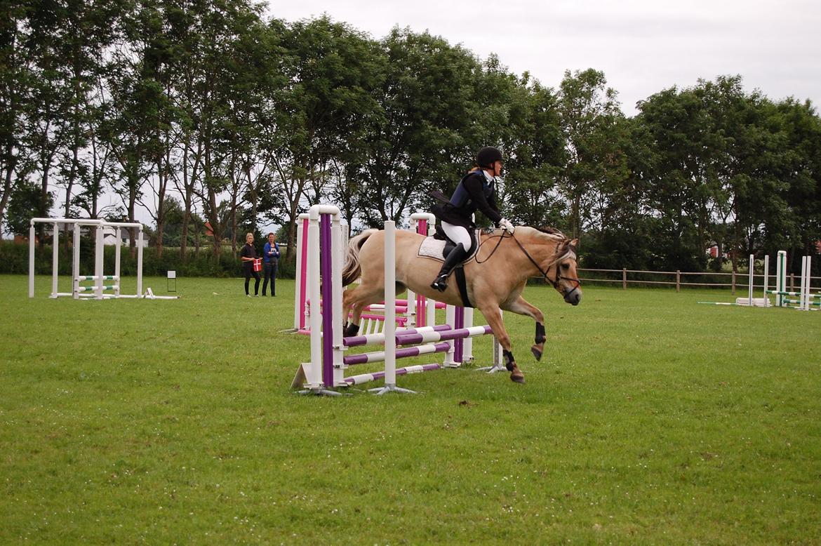 Fjordhest Cirkeline Møldrup - Sløjfespring, nul fejl og super tid ;) billede 12