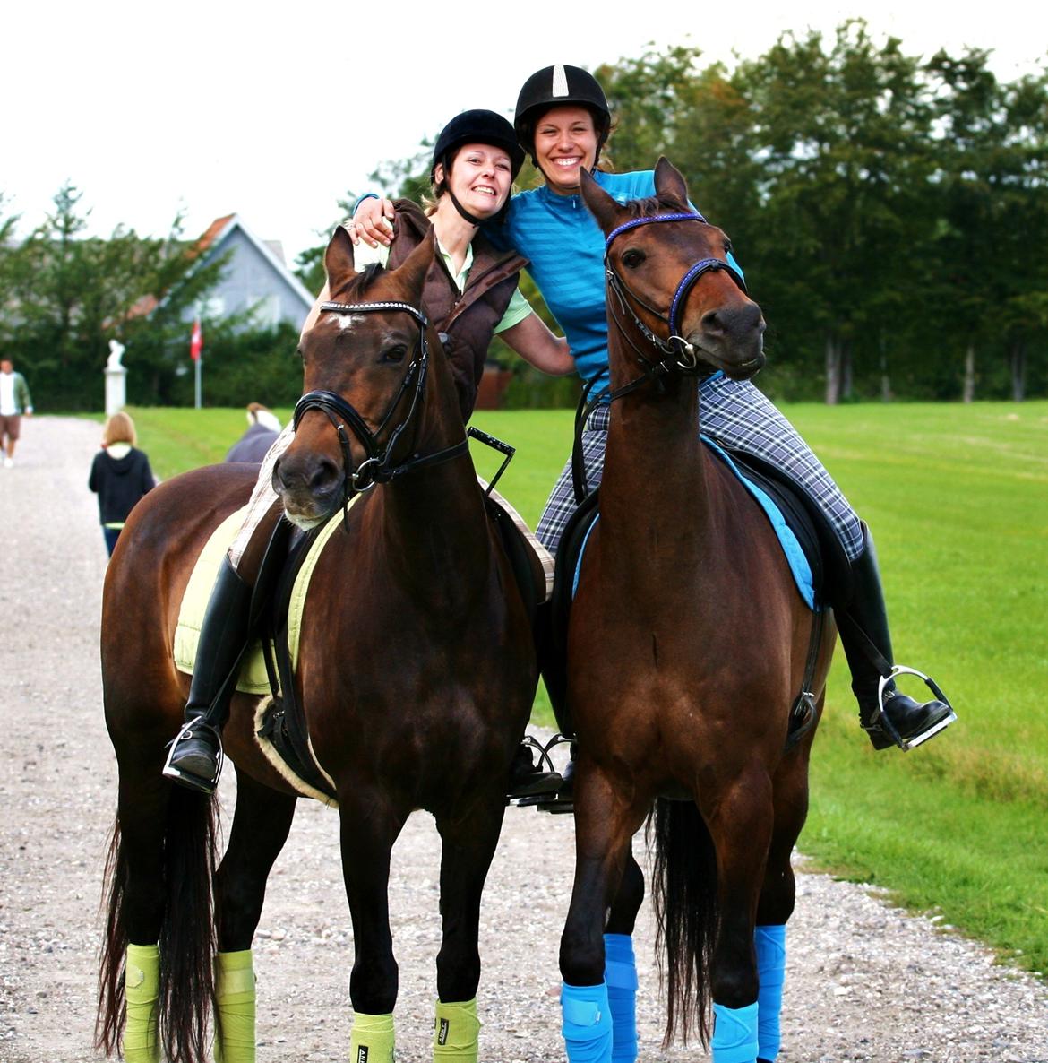 Anden særlig race May Piccolo *Klubmester 2011* billede 20