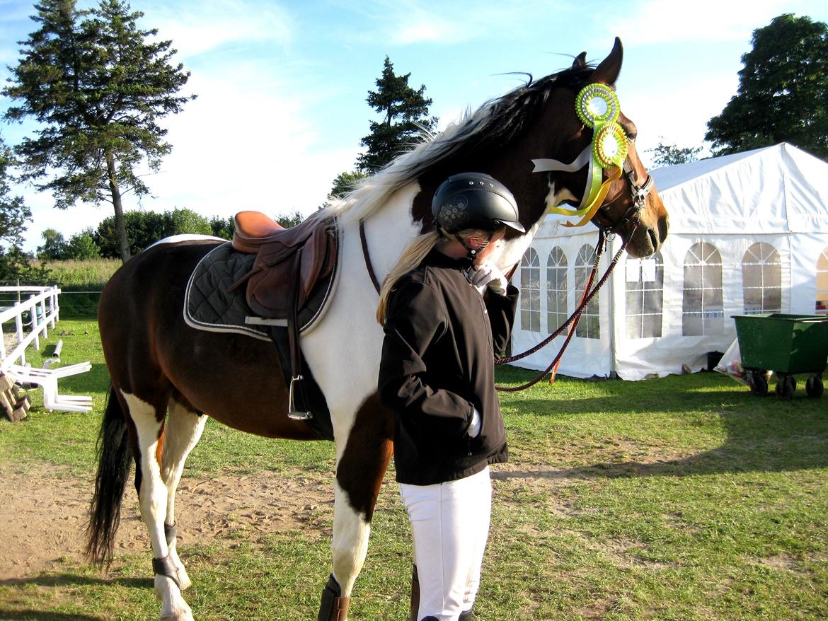 Pinto Shamrocks Jumping Jack Flash/Hoelgaard's Ferrari E - Sidste stævne på Jack <3 billede 20