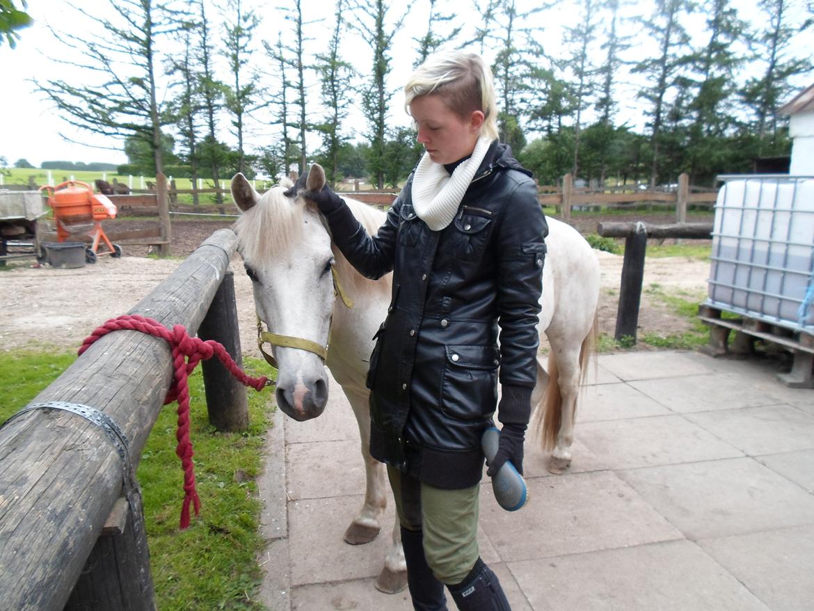Anden særlig race Lucky - Velkommen i stalden Line - hygge med Lucky. billede 9