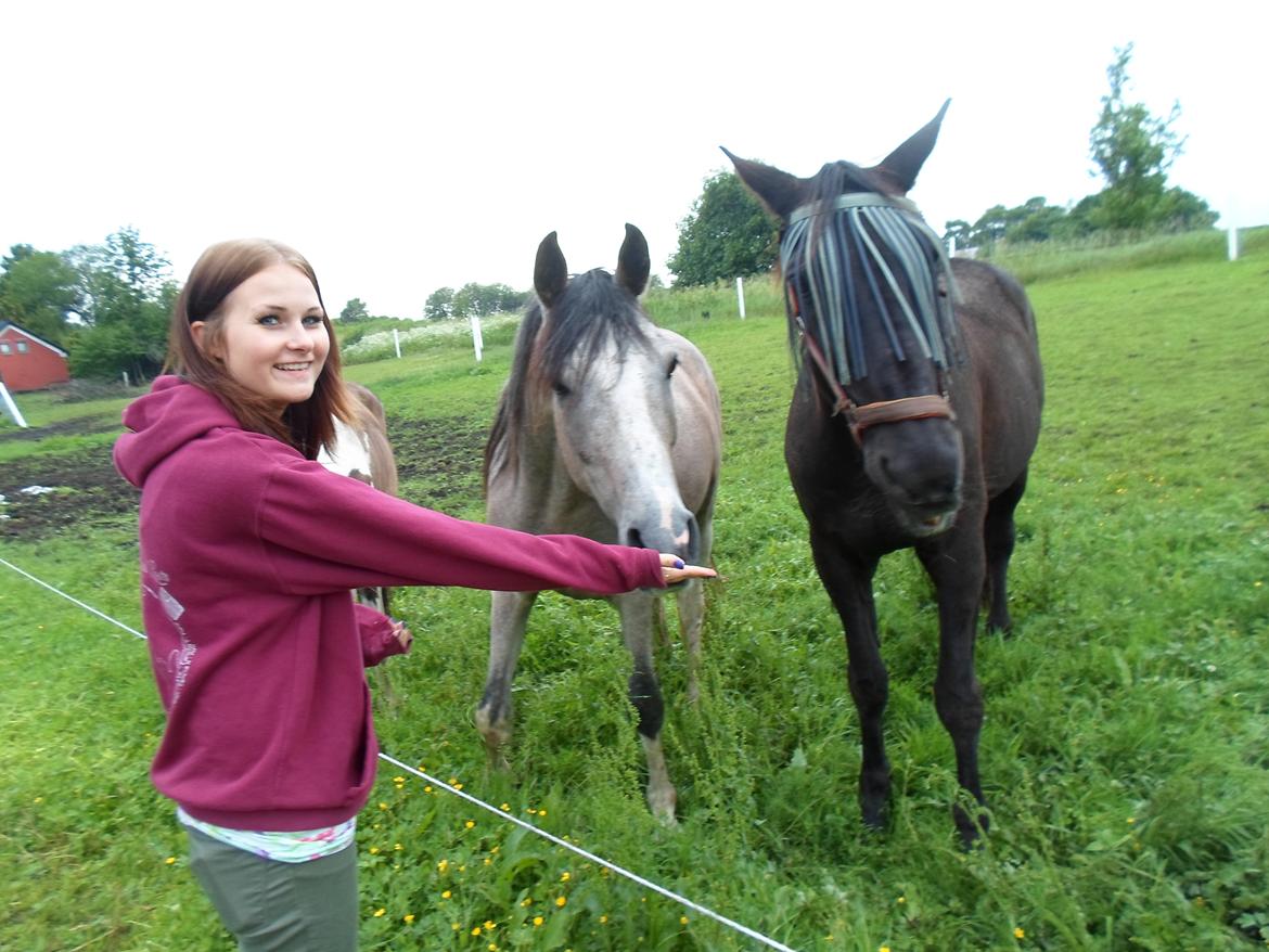 Traver Another st ( RIP ) død 17 dec 2018 - Mathilde, din part og gode ven, siger tillykke med de 20 år. billede 12