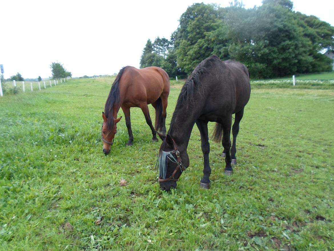 Traver Another st ( RIP ) død 17 dec 2018 - Din nye kæreste Montana og dig, på din 20 års fødselsdag. billede 13