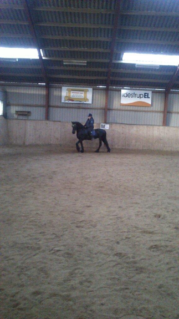 Frieser Thea - Thea og mig til rideundervisning billede 2