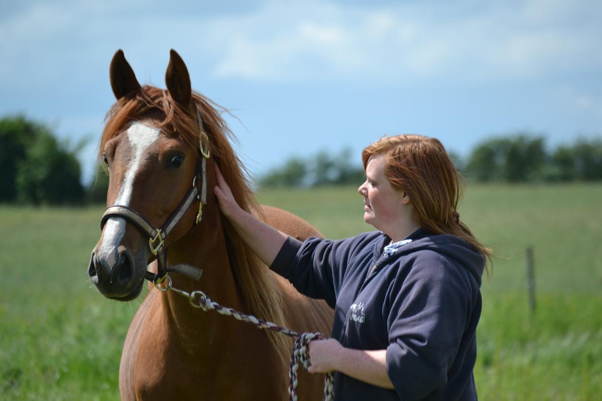 Anden særlig race Halo billede 11