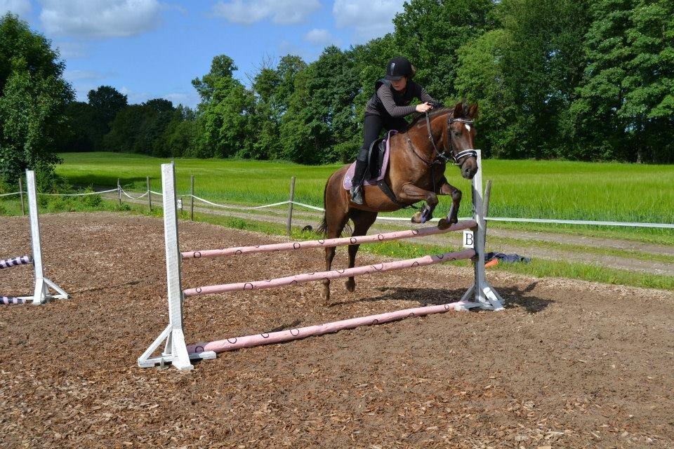 Anden særlig race Marielunds Faiht!<3 My Soulmate!<3 - "Vi er alle engle med kun en vinge, kun ved at omfavne hinanden kan vi flyve" billede 8