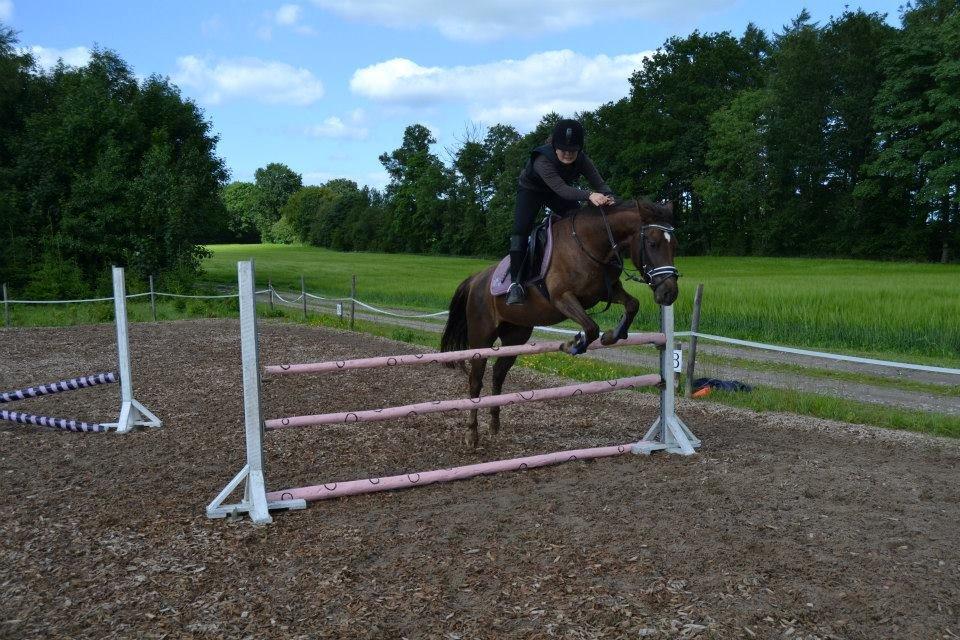 Anden særlig race Marielunds Faiht!<3 My Soulmate!<3 - Velkommen :) - "If you can dream it, you can do it" billede 1