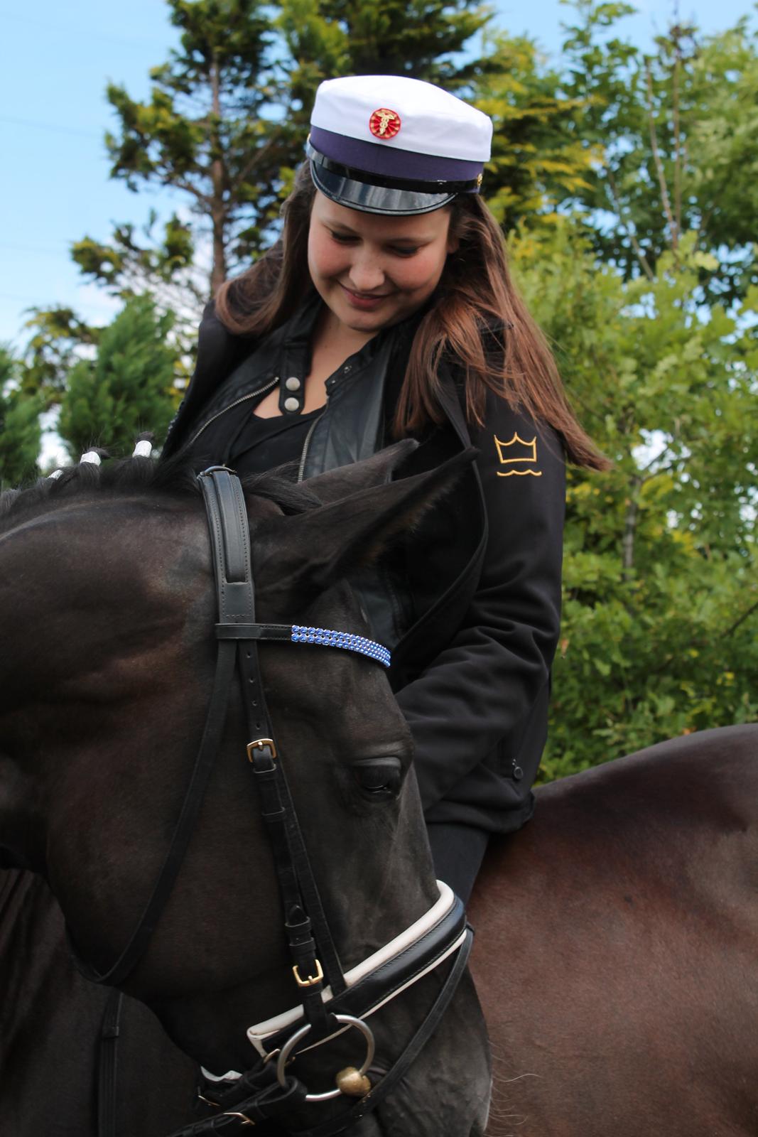 Dansk Varmblod DIA DE CANNON - STUDENT 2013 <3 billede 34