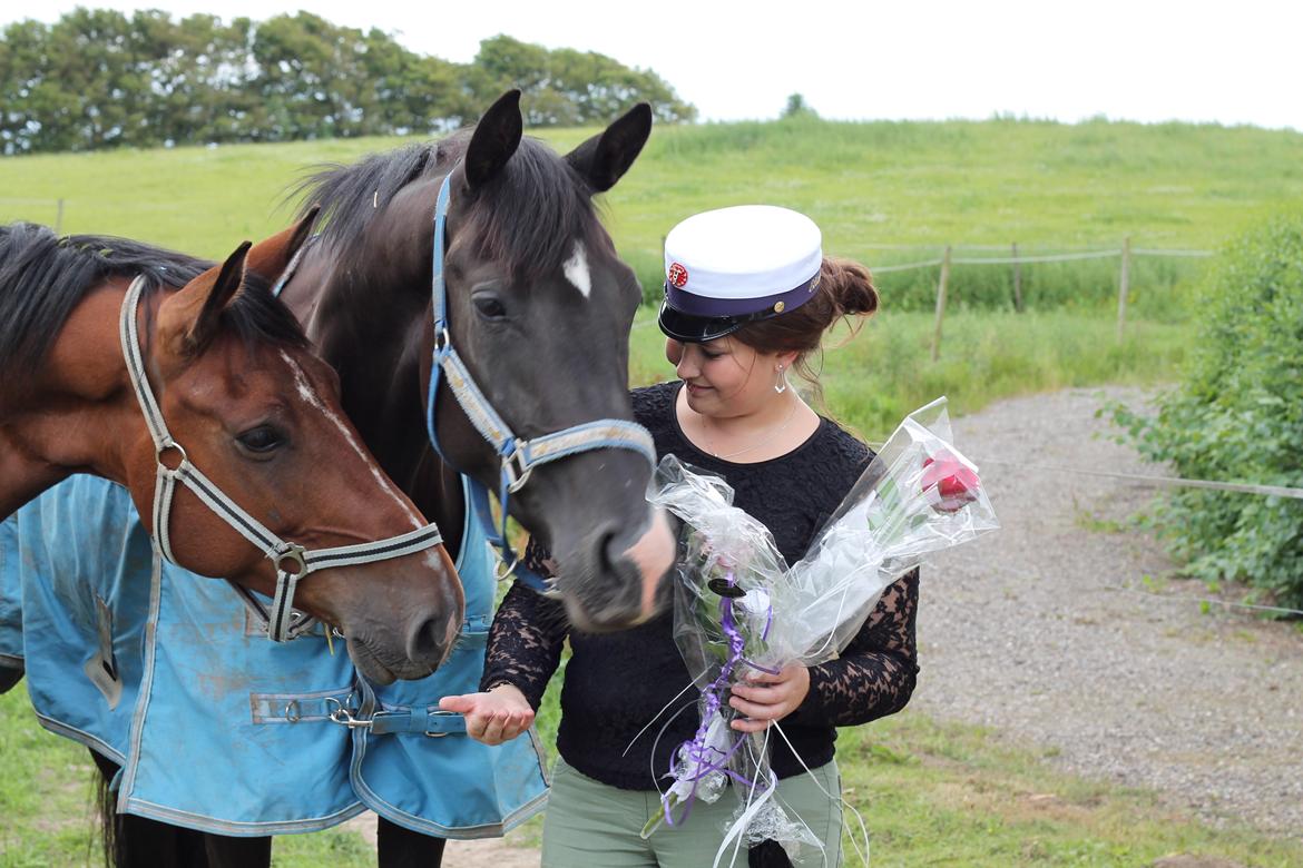 Dansk Varmblod DIA DE CANNON - Min 2 skønne ungheste<3
Duse og Hingsten! billede 14