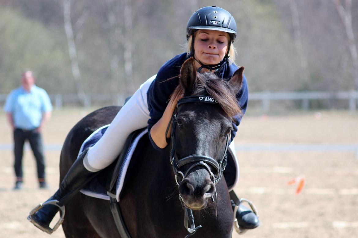 New Forest Angels Ditch Ana Rosa - Vores første pony games stævne, 3. plads
elsker bare vores intelligente ansigter :D 05-05-13 billede 3