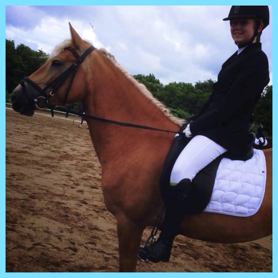 Haflinger Mimosa - Sponsorstævne d. 23/06-13 
Foto og redigering af Hanna Hedegaard  billede 15