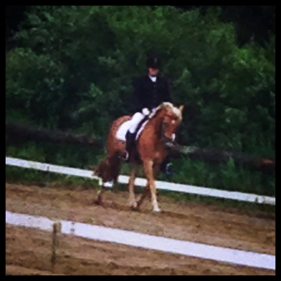 Haflinger Mimosa - Sponsorstævne d. 23/06-13 
Foto og redigering af Hanna Hedegaard  billede 12