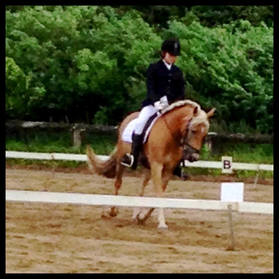 Haflinger Mimosa - Sponsorstævne d. 23/06-13 
Foto og redigering af Hanna Hedegaard  billede 13