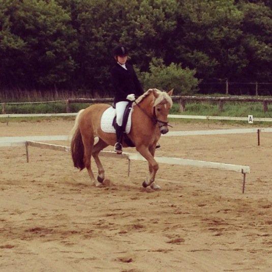 Haflinger Mimosa - Regionsstævne d. 01/06-2013 billede 9